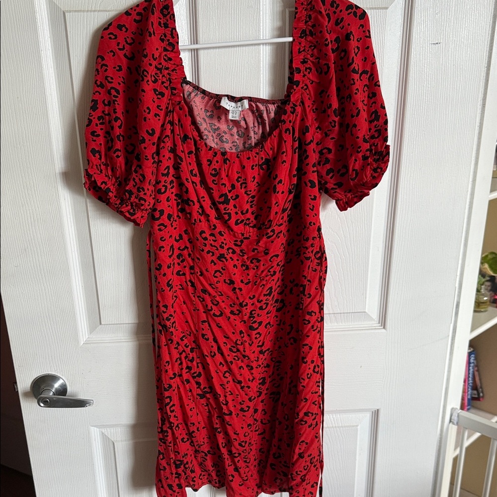 Stylish Red Leopard Print Topshop Dress